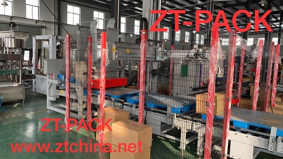 Servo Carton Packing Machine