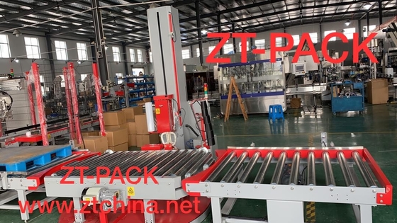 Servo Carton Packing Machine